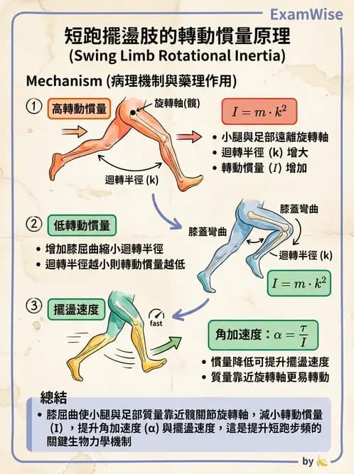 物治 - 步態週期與生物力學 - AI 圖文解析預覽