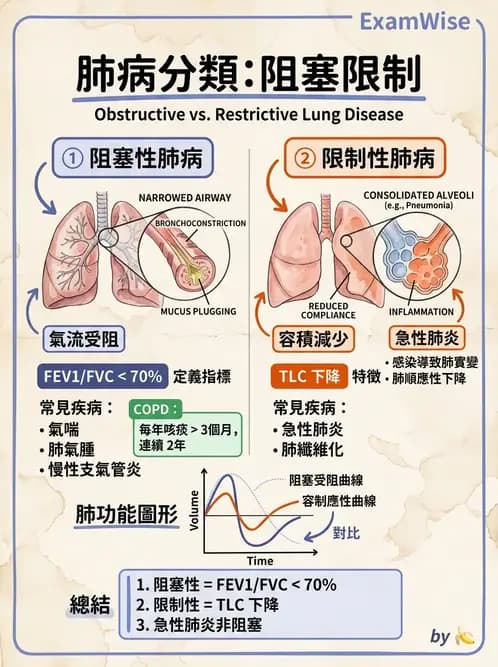 物治 - 心肺系統疾病 - AI 圖文解析預覽