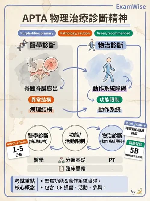 物治 - 專業組織與服務模式 - AI 圖文解析預覽
