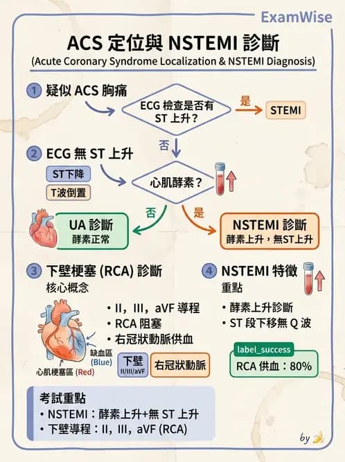 物治 - 心肺系統疾病 - AI 圖文解析預覽