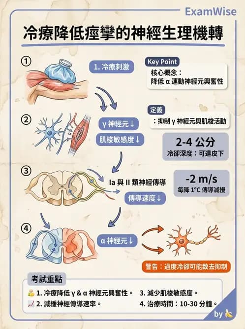 物治 - 溫度療法 - AI 圖文解析預覽