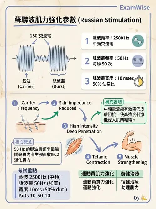 物治 - 神經肌肉電刺激 - AI 圖文解析預覽