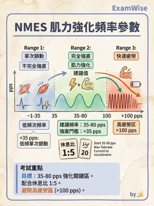 物治 - 神經肌肉電刺激 - AI 圖文解析預覽