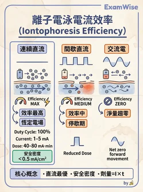 物治 - 離子導入法 - AI 圖文解析預覽