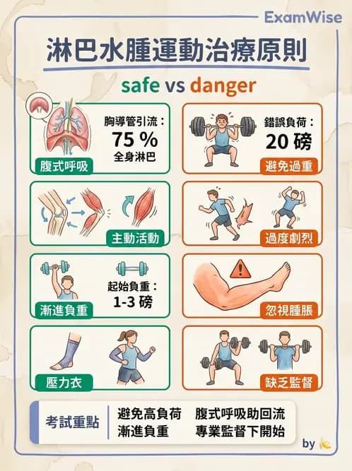 物治 - 淋巴水腫與徒手淋巴引流 - AI 圖文解析預覽