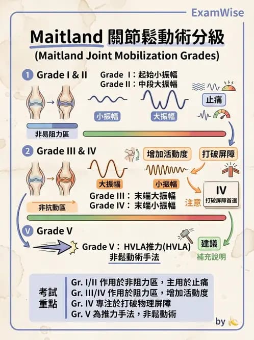 物治 - 脊椎鬆動術 - AI 圖文解析預覽