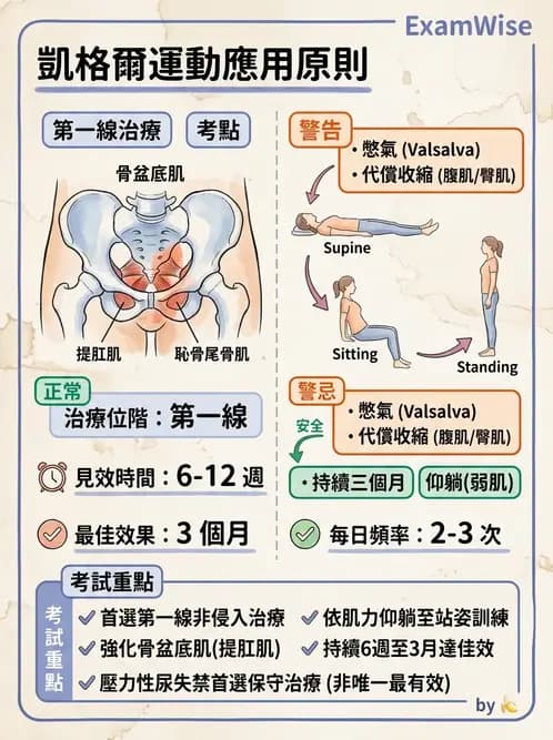 物治 - 功能評估與再教育 - AI 圖文解析預覽