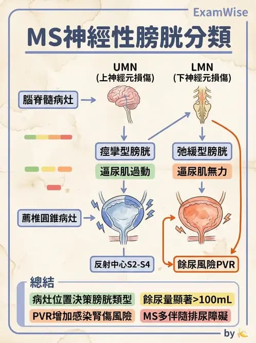 物治 - 功能評估與再教育 - AI 圖文解析預覽