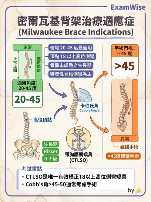 物治 - 裝具與矯具 - AI 圖文解析預覽