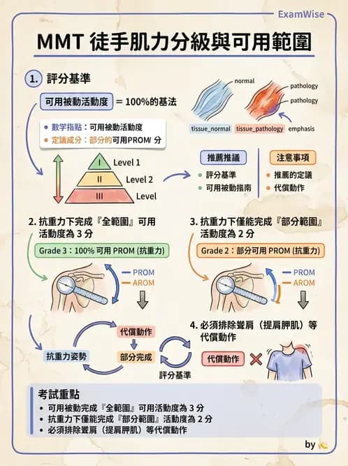 物治 - 上肢徒手肌力測試 - AI 圖文解析預覽