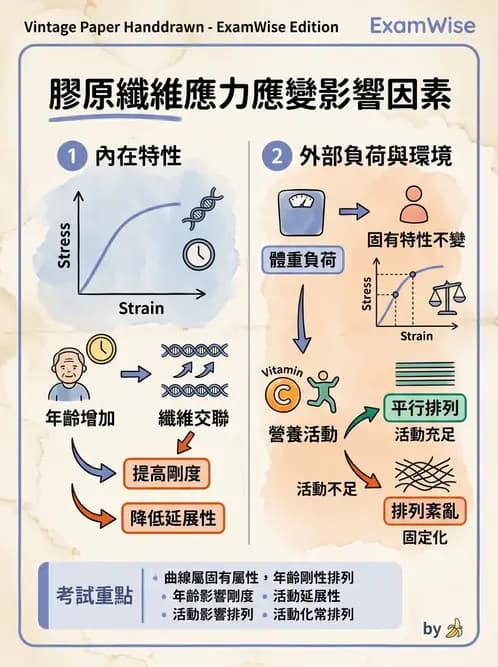 物治 - ROM通則與關節運動 - AI 圖文解析預覽