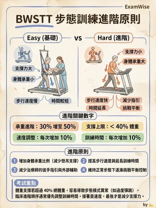 物治 - 核心穩定與功能性訓練 - AI 圖文解析預覽