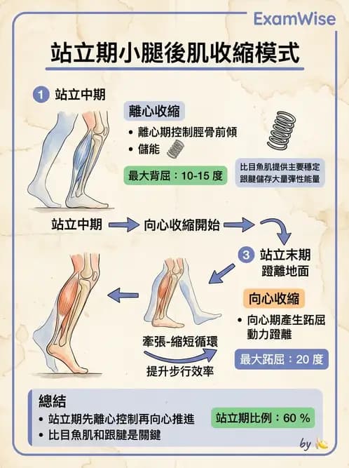 物治 - 行走評估與訓練 - AI 圖文解析預覽
