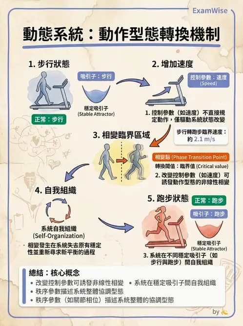物治 - 動作控制理論 - AI 圖文解析預覽