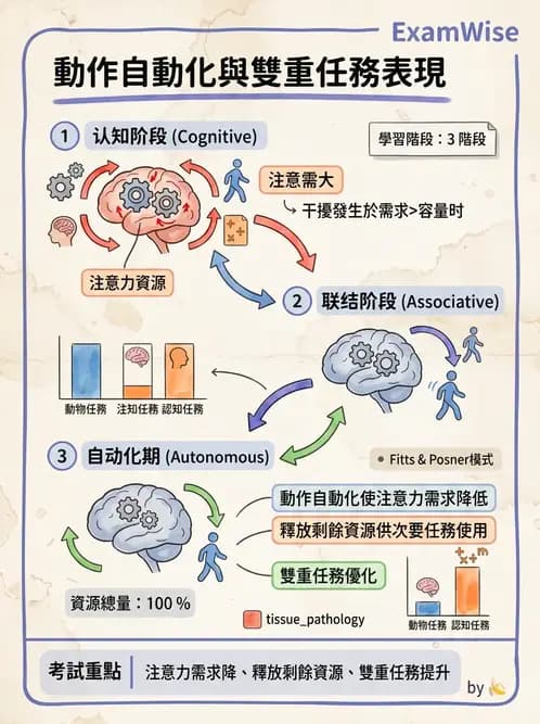 物治 - 動作學習 - AI 圖文解析預覽