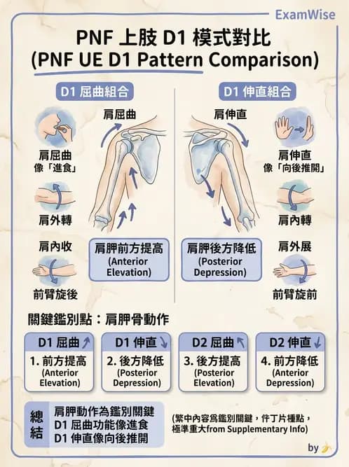 物治 - 神經治療學派技術 - AI 圖文解析預覽