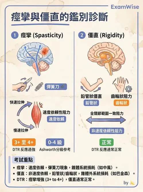 物治 - 腦中風動作評估與分期 - AI 圖文解析預覽