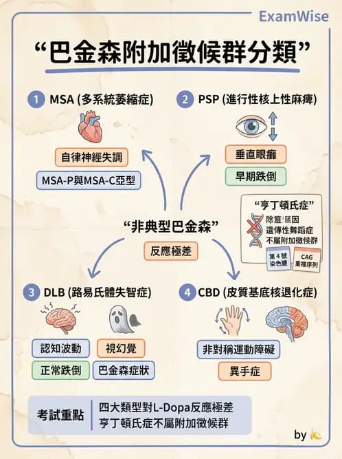 物治 - 巴金森氏病物理治療 - AI 圖文解析預覽