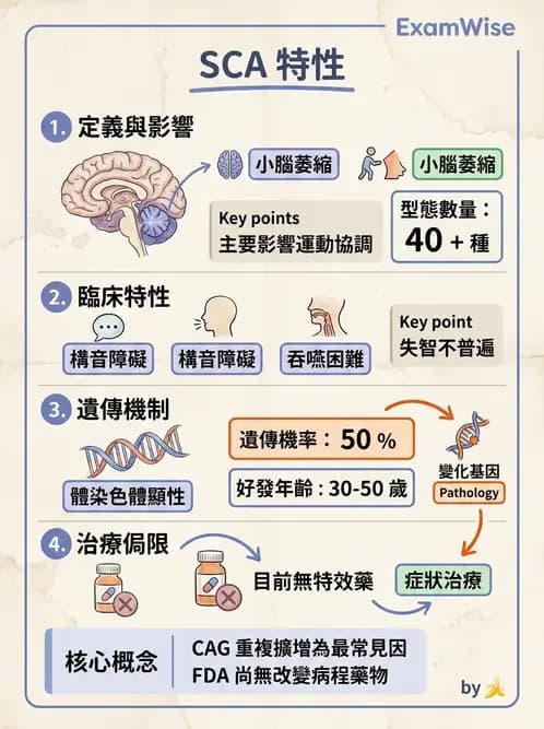 物治 - 小腦疾病物理治療 - AI 圖文解析預覽