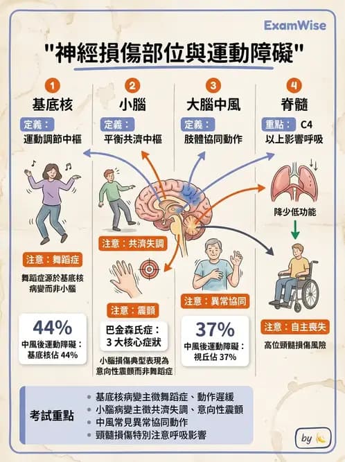 物治 - 小腦疾病物理治療 - AI 圖文解析預覽