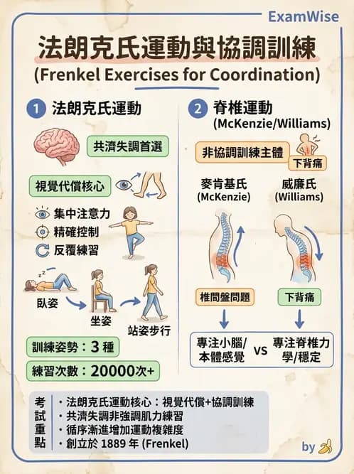 物治 - 小腦疾病物理治療 - AI 圖文解析預覽