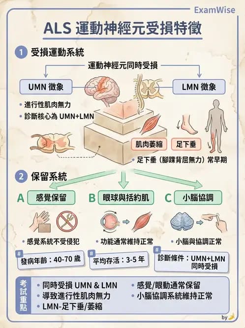 物治 - 運動神經元疾病與其他中樞疾病 - AI 圖文解析預覽