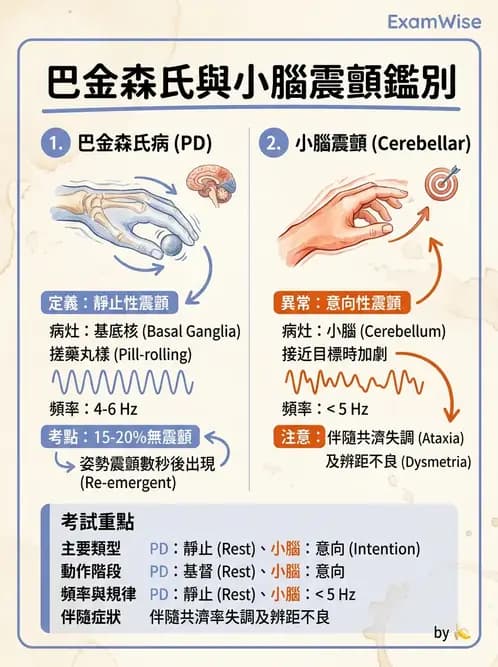 物治 - 巴金森氏病物理治療 - AI 圖文解析預覽