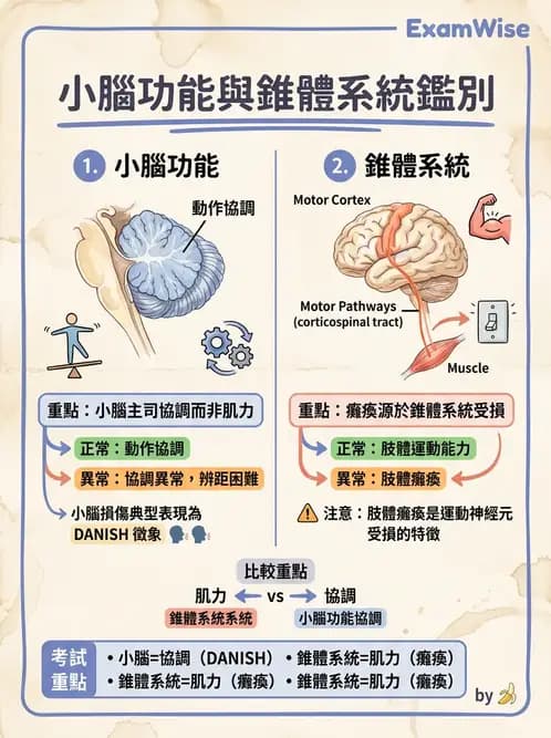 物治 - 小腦疾病物理治療 - AI 圖文解析預覽