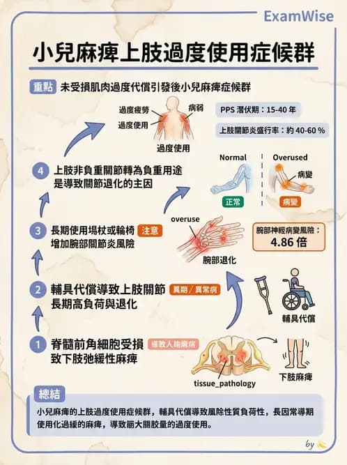 物治 - 神經肌肉疾病 - AI 圖文解析預覽