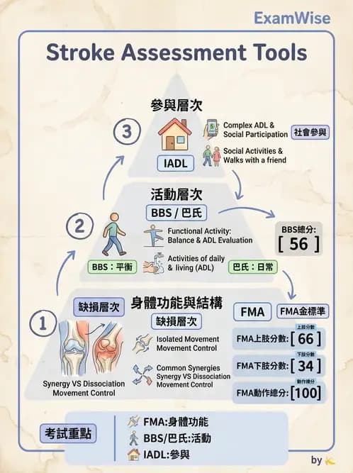 物治 - 神經物理治療評估工具 - AI 圖文解析預覽
