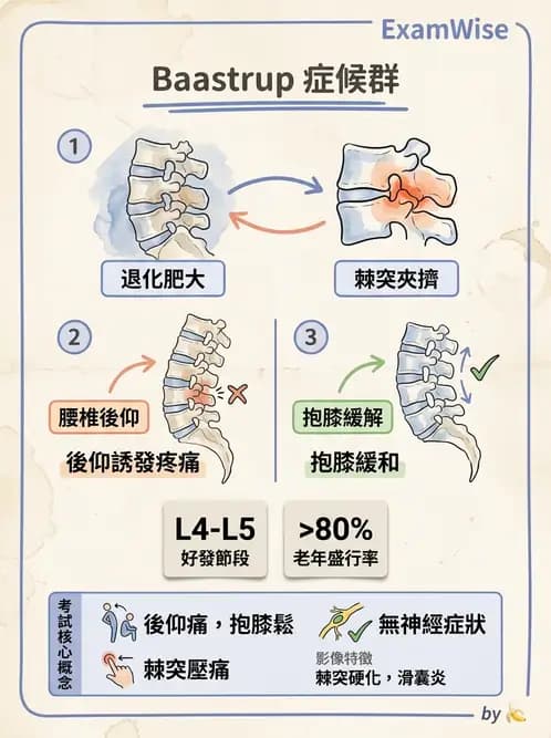 物治 - 腰椎椎間盤與脊椎狹窄 - AI 圖文解析預覽