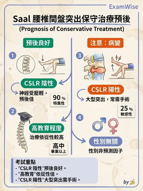 物治 - 腰椎椎間盤與脊椎狹窄 - AI 圖文解析預覽