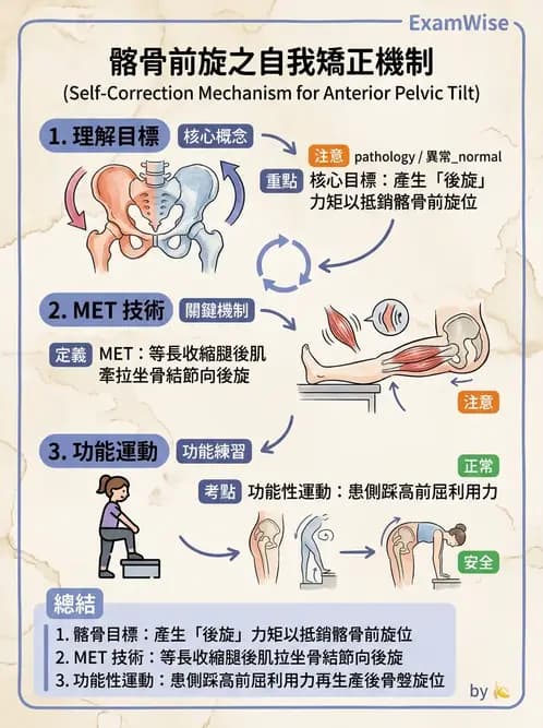 物治 - 薦髂關節評估與治療 - AI 圖文解析預覽