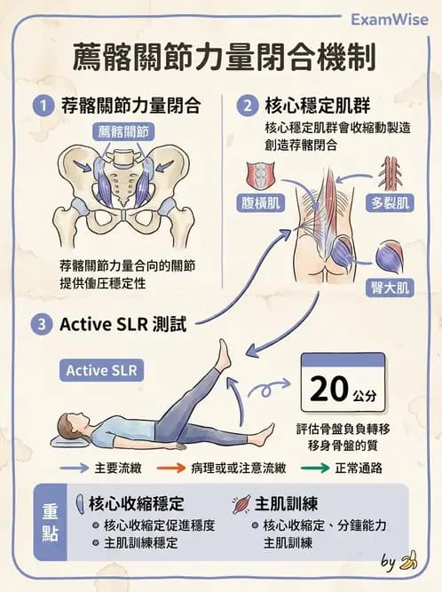 物治 - 薦髂關節評估與治療 - AI 圖文解析預覽