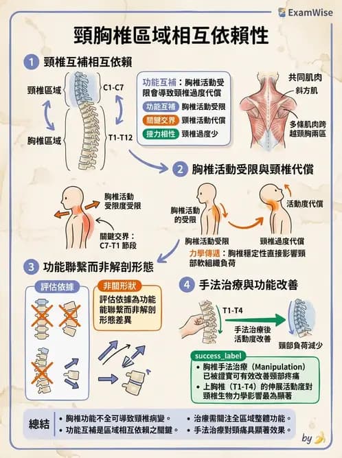 物治 - 頸椎評估與病理 - AI 圖文解析預覽