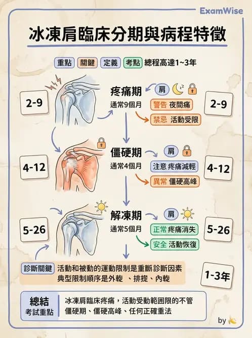 物治 - 冰凍肩與胸廓出口症候群 - AI 圖文解析預覽
