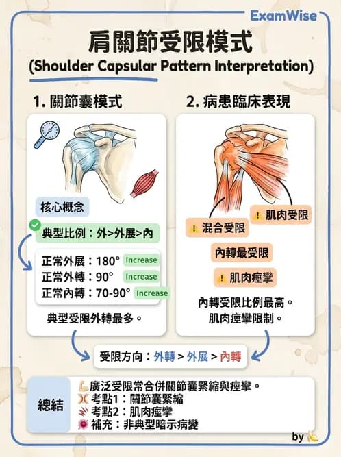 物治 - 冰凍肩與胸廓出口症候群 - AI 圖文解析預覽
