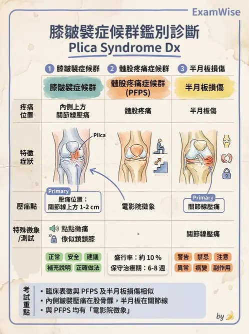物治 - 髕股關節疼痛與伸展機制 - AI 圖文解析預覽