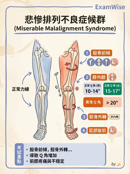 物治 - 髕股關節疼痛與伸展機制 - AI 圖文解析預覽