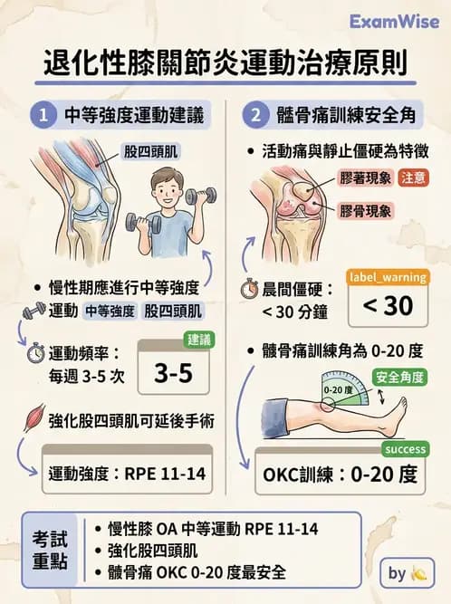 物治 - 膝關節生物力學與退化性疾病 - AI 圖文解析預覽