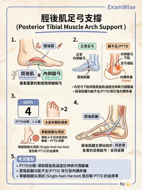物治 - 足部病變與輔具評估 - AI 圖文解析預覽