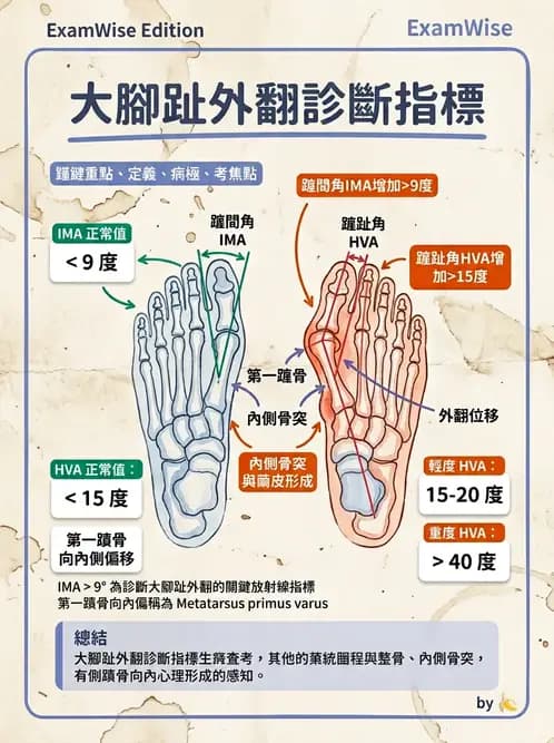 物治 - 足部病變與輔具評估 - AI 圖文解析預覽