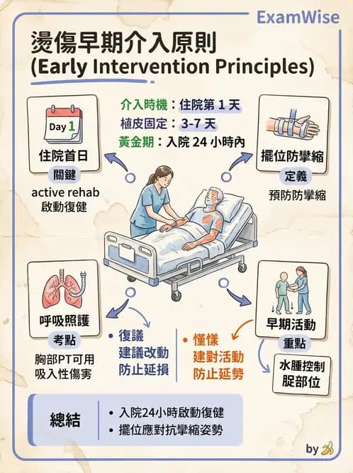 物治 - 皮膚與淋巴系統物理治療 - AI 圖文解析預覽