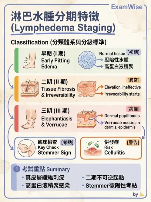 物治 - 皮膚與淋巴系統物理治療 - AI 圖文解析預覽