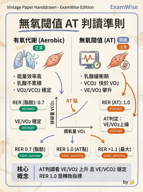 物治 - 運動生理學與能量代謝 - AI 圖文解析預覽