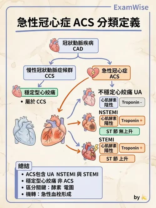 物治 - 冠狀動脈疾病與心臟手術 - AI 圖文解析預覽