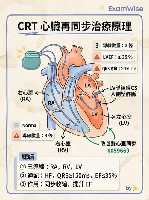 物治 - 心臟藥物、輔助裝置與周邊血管 - AI 圖文解析預覽
