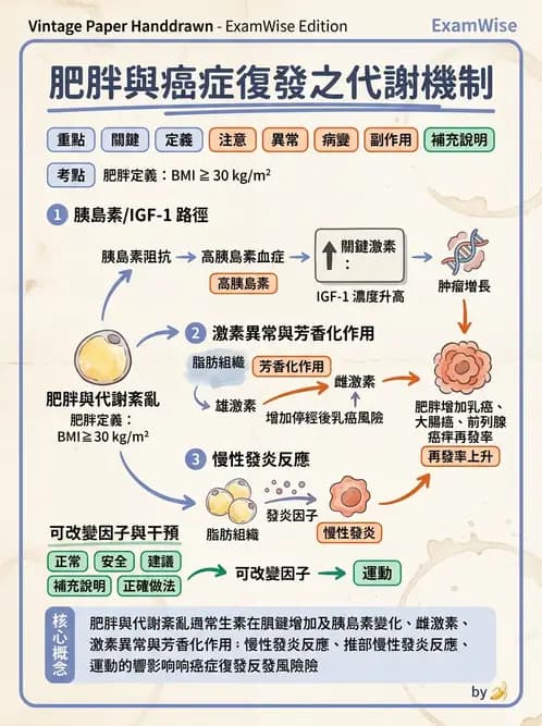 物治 - 癌症物理治療 - AI 圖文解析預覽