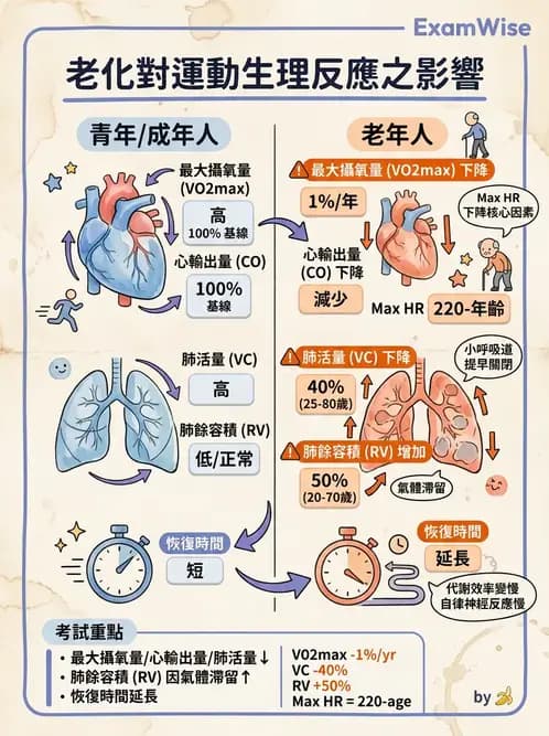 物治 - 特殊族群運動處方與健康促進 - AI 圖文解析預覽