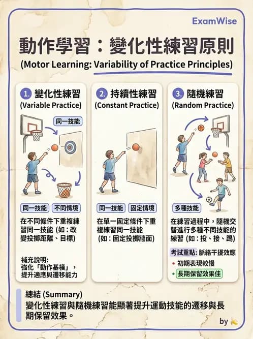 物治 - 小兒物理治療基礎與原理 - AI 圖文解析預覽